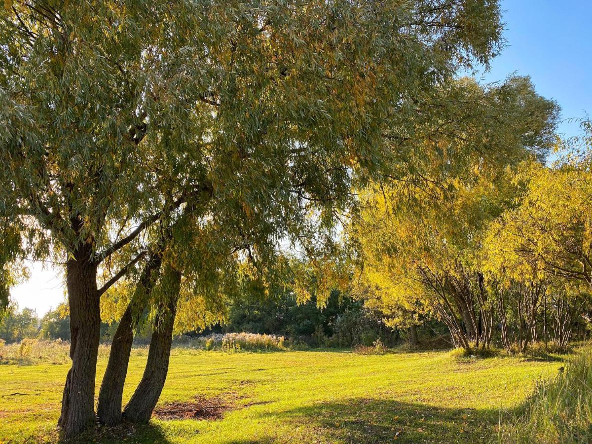 Horenka Treeskit House מראה חיצוני תמונה